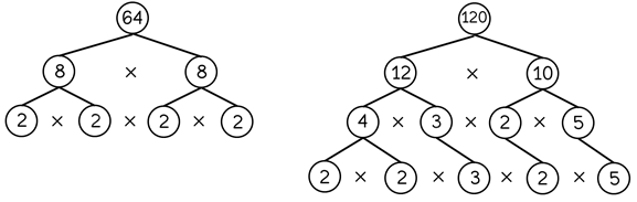 longer fraction branches