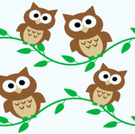 Basic subtraction question using owls as visual