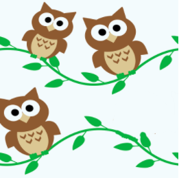 Basic subtraction question using owls as visual