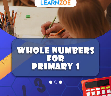 Whole Numbers for Primary 1