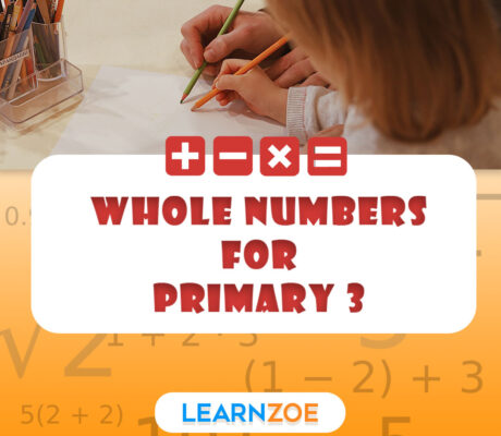 Whole Numbers for Primary 3